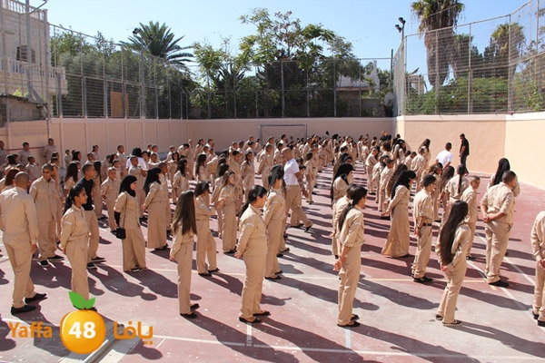 kashaf islamy ready3 (30).JPG